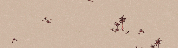 玩回合制卡牌游戏Top10榜单瓦力游戏appSteam上最耐(图6) 玩回合制卡牌游戏Top10榜单瓦力游戏appSteam上最耐(图6)